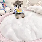阜阳狗场宠物狗价格