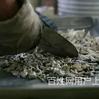 日照家庭宠物去世处理,日照宠物善后服务中心,