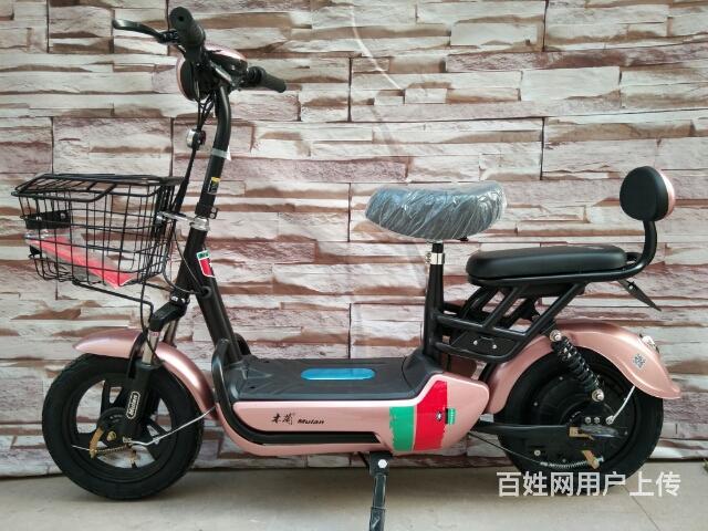 潍坊龙祥车业 名牌木兰,雷玛电动车