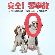 推荐） 黄石宠物托运到全国）（猫狗）邮寄快递（宠物活体运输）