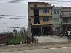 洪湖大道，马路边独栋出租