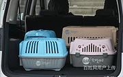 今日/推荐)织金出发宠物托运/全程专人看护