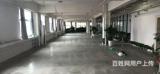 特价房出租 60平 106平 152平 269平的图片