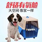固镇宠物托运{猫狗长途搬家}活体快速邮寄2024安全快捷全国
