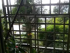 地铁房锦西国际(金牛-九里堤) 公寓 精装修