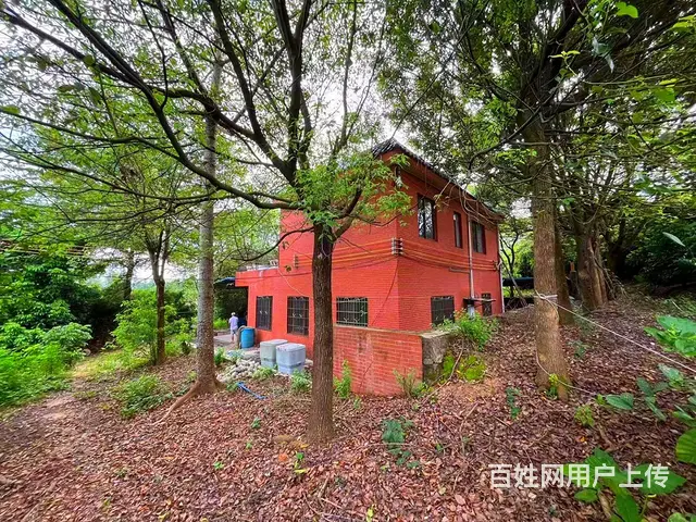 从化区城郊旅游区附近50亩果园房屋农庄整体转让的图片