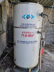 燃油锅炉，发电机