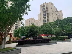 房东直售长江新区阳逻开发区地铁站旁风荷苑精装三房