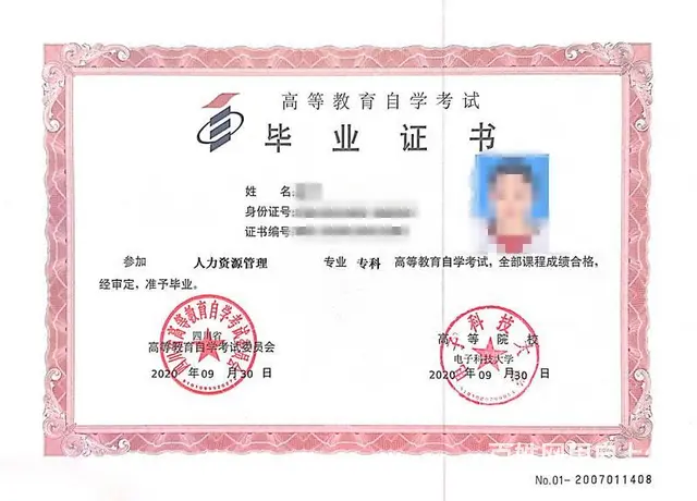 电子科技大学小自考的图片