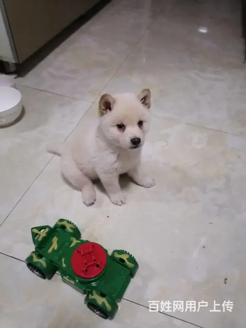 俩张就拿走的图片