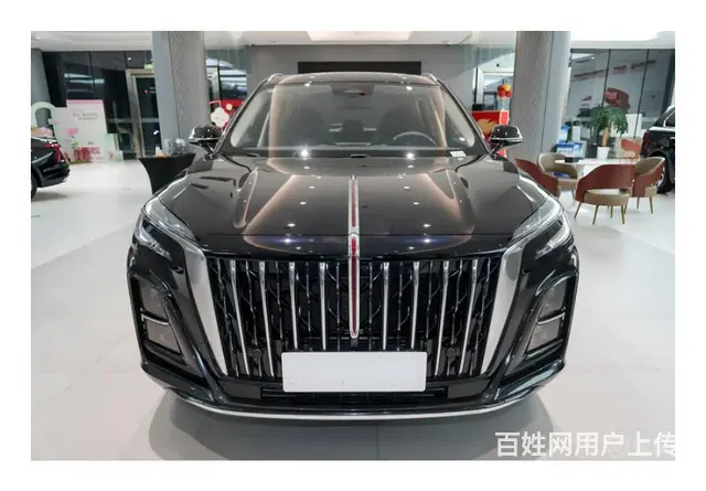 红旗E-HS3 2019款 四驱版智联旗领的图片