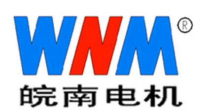 皖南电机