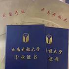 宜宾挨着云南水富，可以报考云南开放大学的大专和本科