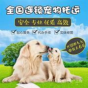 镇平宠物托运{猫狗长途搬家}活体快速邮寄2024安全快捷全国
