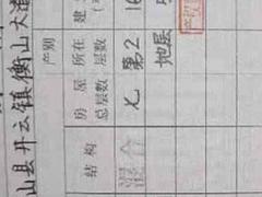 低层旧毛坯房出售