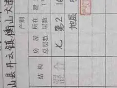 低层旧毛坯房出售