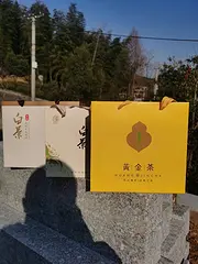 春节送礼选好茶 黄金叶茶 安吉白茶 小戴白茶直销