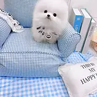 嘉兴犬舍地址买狗靠谱的基地基地