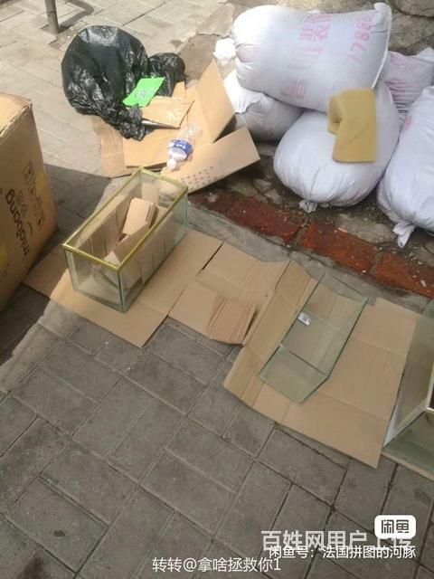 9041653的图片