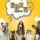 白山跨省宠物托运空运陆运活体运输提供专业国内国际宠物托运