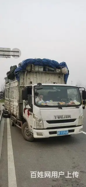 【搞定了！】跃进 高栏/栏板 国5的图片