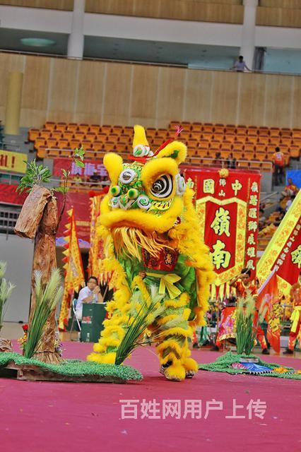 广东醒狮团佛山醒狮团佛山岭南舞狮团