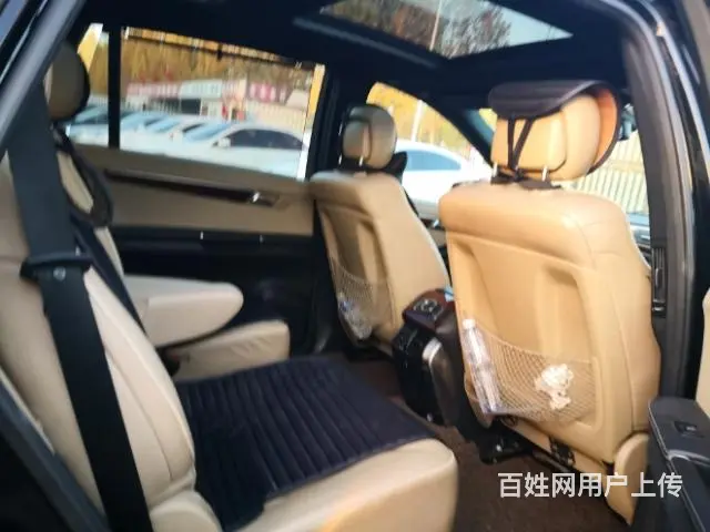 奔驰 奔驰R-Class [R级] 2011款 R 300的图片