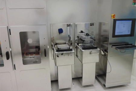 Lamina206