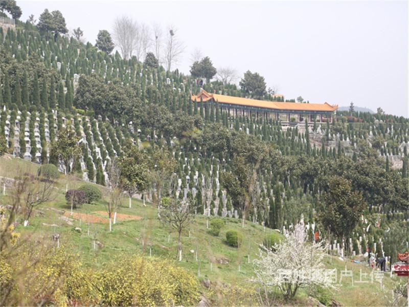 武汉江夏流芳陵园 公墓服务中心电话,购