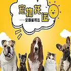泉州晋江本地周边本地实体店宠物托运主营空调保姆专车空运