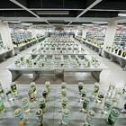 山东力明学院2023年招生办在线咨询报名