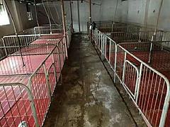 洱源县生猪标准养殖场出租
