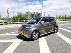 【搞定了！】欧拉 白猫 2020款 360km 豪华型