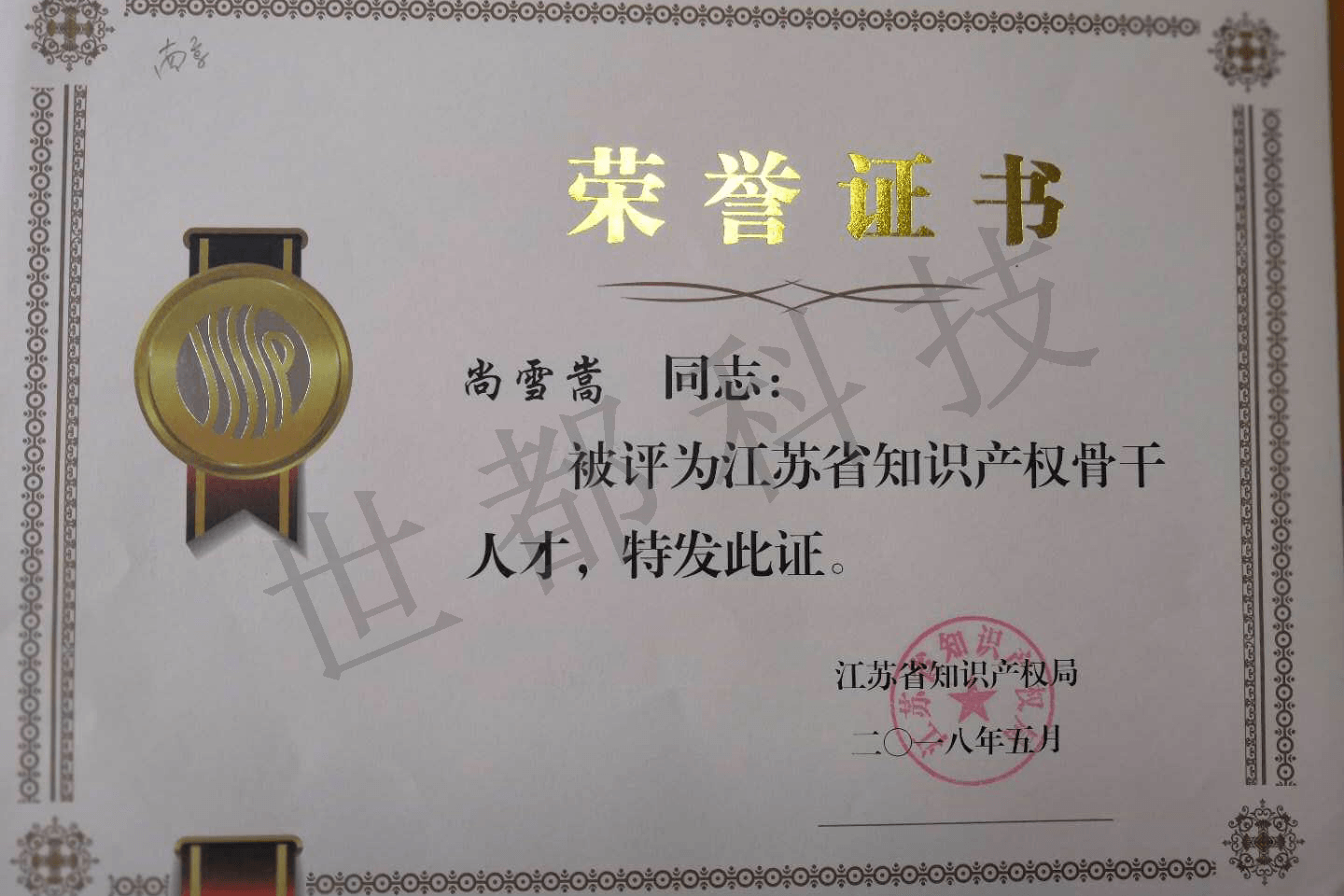 尚-省知识产权局骨干人才证书