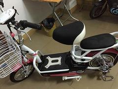 电动车，电动自行车。(48)V
