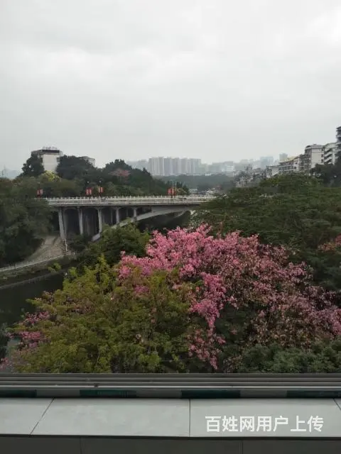 百色市右江区中山桥附近单位房，两房一厅出租的图片