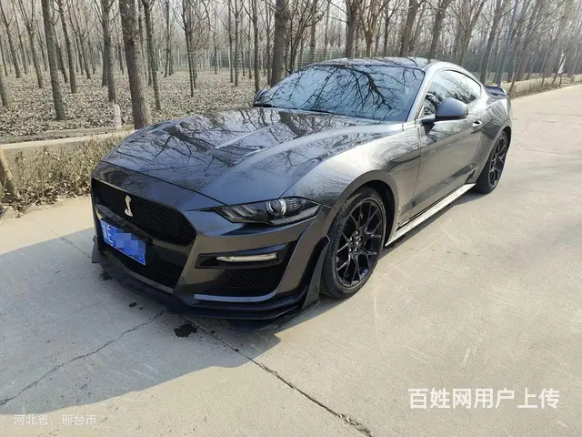福特Mustang [野马] 2020款 Mustang S的图片