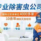 除百虫除四害灭蟑螂、灭蚂蚁、灭老鼠、灭蚂蚁