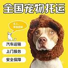 上蔡宠物托运{猫狗长途搬家}活体快速邮寄2024安全快捷全国