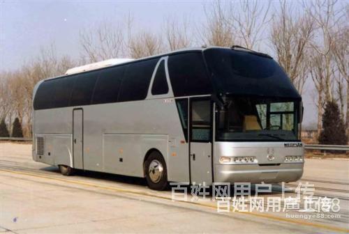 2020湛江市宠物托运*湛江市活体运输到达全国市县的图片