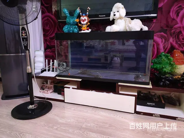 各种水族箱虾粮的图片
