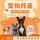 呼伦贝尔满洲里本地宠物托运公司,专业宠物托运公司