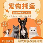 泉州晋江本地周边本地实体店宠物托运主营空调保姆专车空运