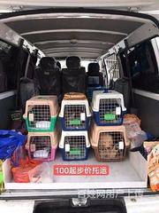 2022南平宠物托运（猫狗鸽子活体邮寄运输）全国连锁