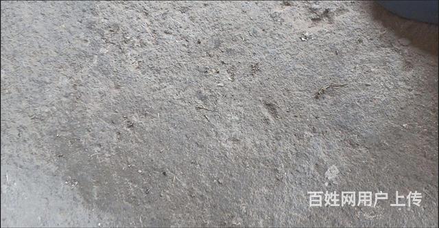 厂房，出租的图片
