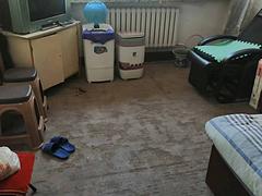 帕弗尔院内红楼红胜街67号 普通住宅1厅 简单装修