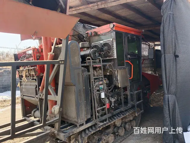 玉米收的图片