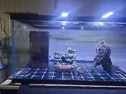 二手鱼缸