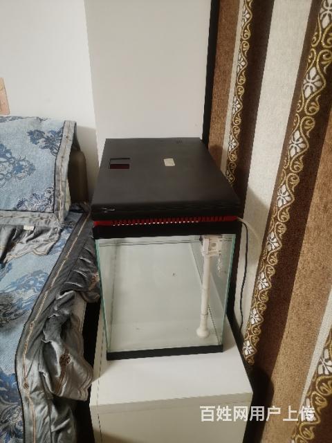 森森鱼缸的图片