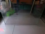 出售鱼缸